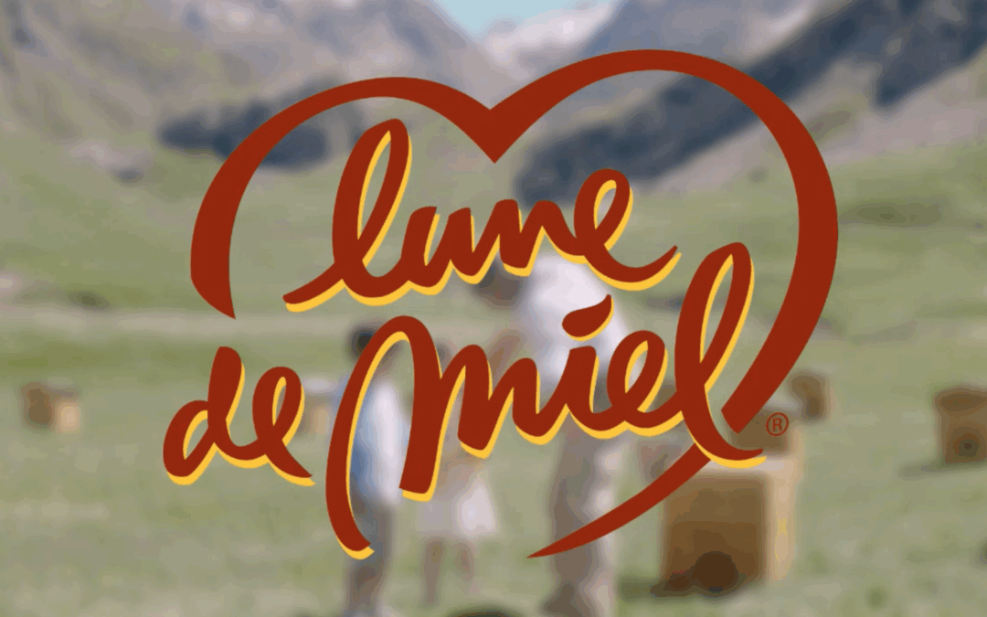 « Lune de Miel de retour en TV avec Big Success »