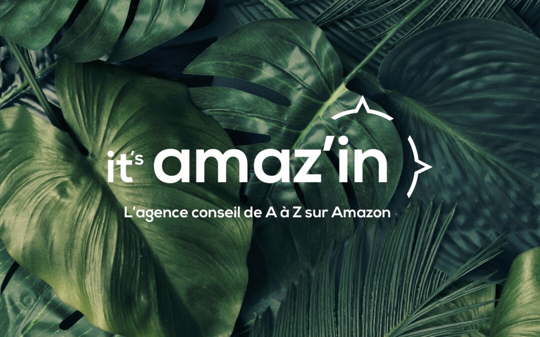 Big Success lance sa propre entité spécialisée Amazon