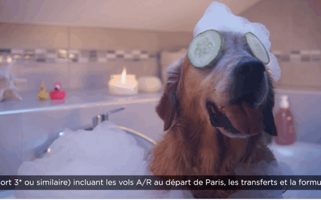 Promovacances revient en TV avec Big Success !