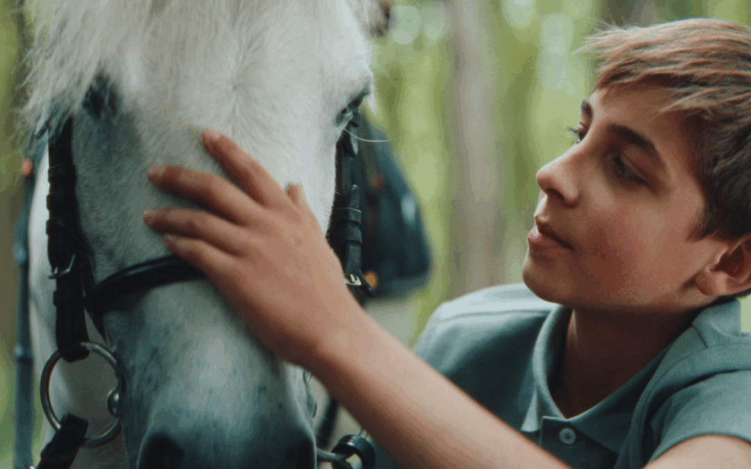 UNE RENTRÉE AU GALOP POUR BIG SUCCESS AVEC LA FÉDÉRATION FRANÇAISE D&rsquo;ÉQUITATION