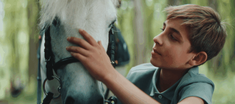 FÉDÉRATION FRANÇAISE D&rsquo;ÉQUITATION